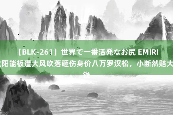 【BLK-261】世界で一番活発なお尻 EMIRI 太阳能板遭大风吹落砸伤身价八万罗汉松，小断然赔大钱