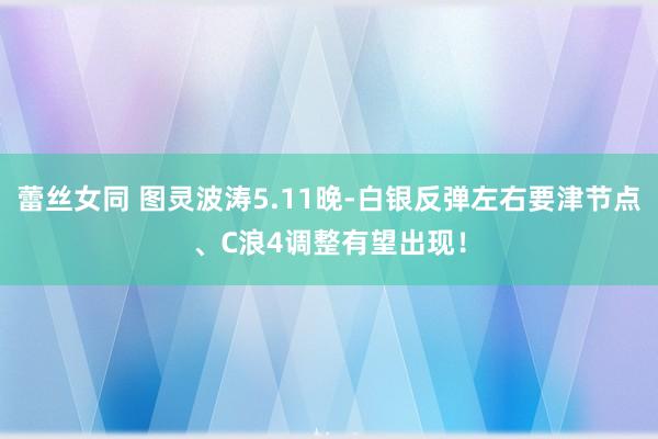 蕾丝女同 图灵波涛5.11晚-白银反弹左右要津节点、C浪4调整有望出现！