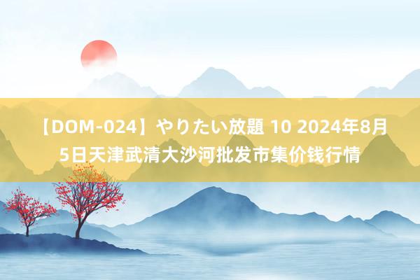 【DOM-024】やりたい放題 10 2024年8月5日天津武清大沙河批发市集价钱行情