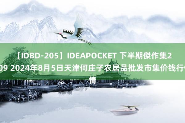 【IDBD-205】IDEAPOCKET 下半期傑作集2009 2024年8月5日天津何庄子农居品批发市集价钱行情