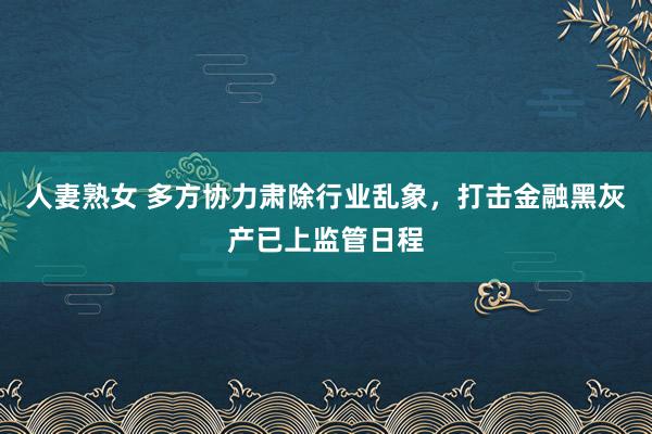 人妻熟女 多方协力肃除行业乱象，打击金融黑灰产已上监管日程