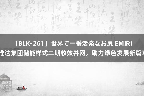 【BLK-261】世界で一番活発なお尻 EMIRI 维达集团储能样式二期收效并网，助力绿色发展新篇章