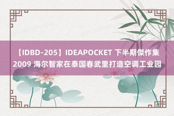 【IDBD-205】IDEAPOCKET 下半期傑作集2009 海尔智家在泰国春武里打造空调工业园