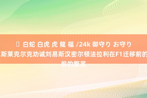 ✨白蛇 白虎 虎 龍 福 /24k 御守り お守り 查尔斯莱克尔克劝诫刘易斯汉密尔顿法拉利在F1迁移前的繁芜