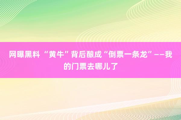 网曝黑料 “黄牛”背后酿成“倒票一条龙”——我的门票去哪儿了