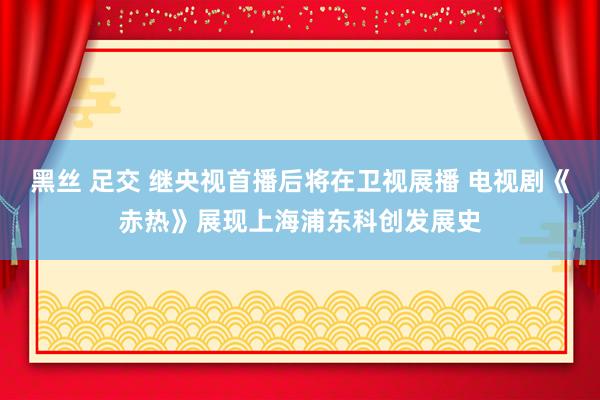 黑丝 足交 继央视首播后将在卫视展播 电视剧《赤热》展现上海浦东科创发展史