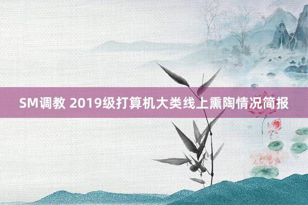 SM调教 2019级打算机大类线上熏陶情况简报