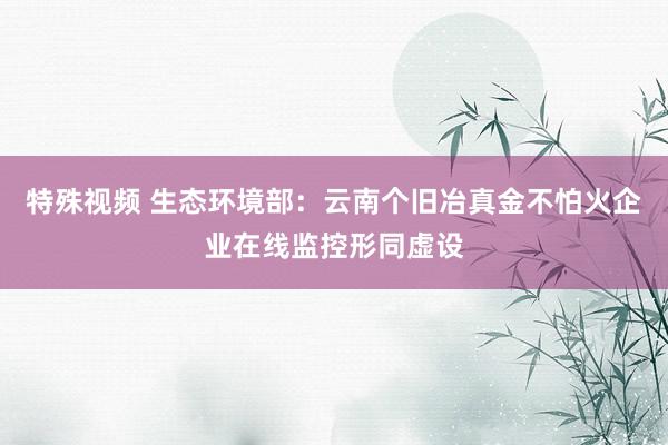 特殊视频 生态环境部：云南个旧冶真金不怕火企业在线监控形同虚设